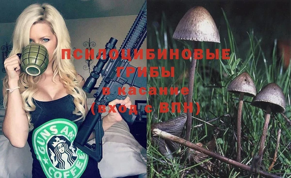 синтетический гашиш Дмитриев