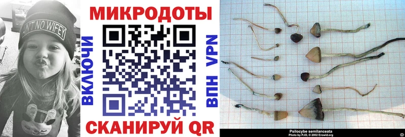 Галлюциногенные грибы прущие грибы  Купить где  Карпинск 