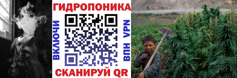 МАРИХУАНА Bruce Banner  Купить где  Карпинск 